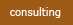 consulting